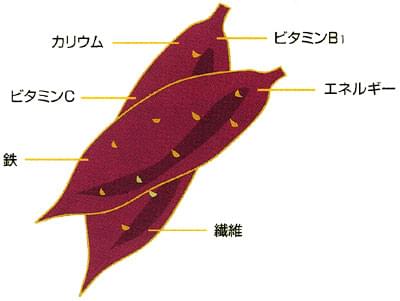 さつまいも蒸しパン